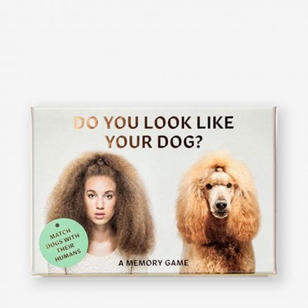 Do You Look Like Your Dog?