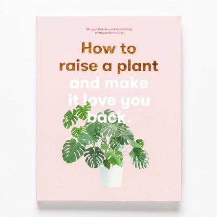 How to Raise a Plant