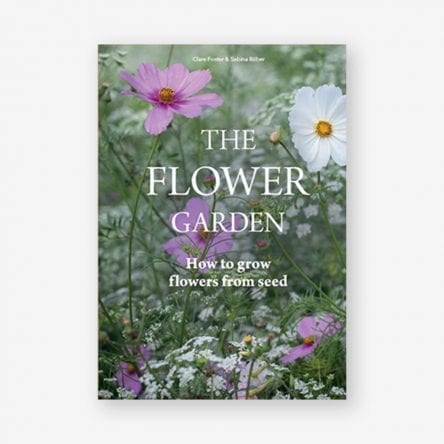 The Flower Garden