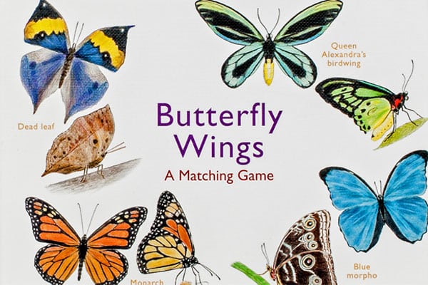Butterfly Wings - Product Thumbnail