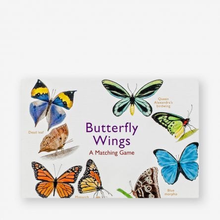 Butterfly Wings