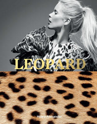 Leopard - Product Thumbnail