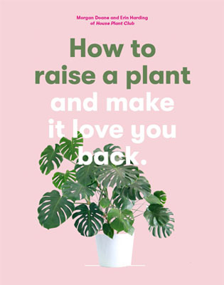 How to Raise a Plant - Product Thumbnail