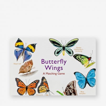 Butterfly Wings