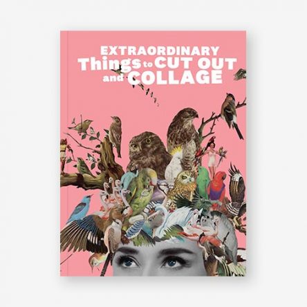 Extraordinary Things to Cut Out and Collage