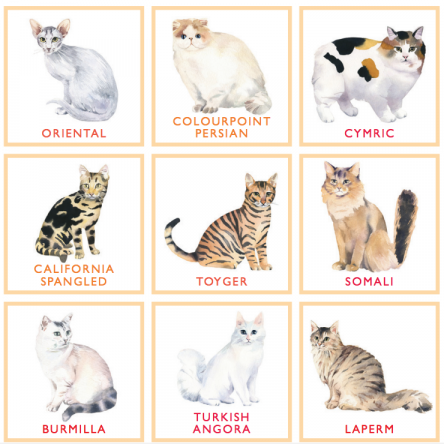 How to Host Your Own Bingo Party - Blog Image