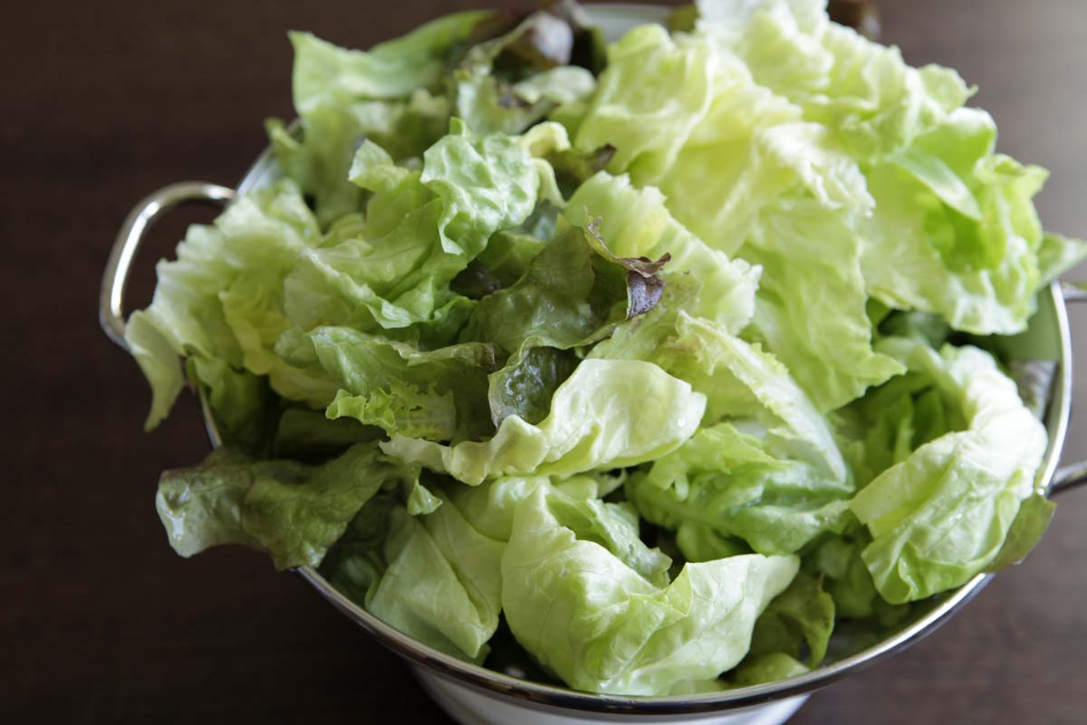 Blattsalat mit Riesencrevetten