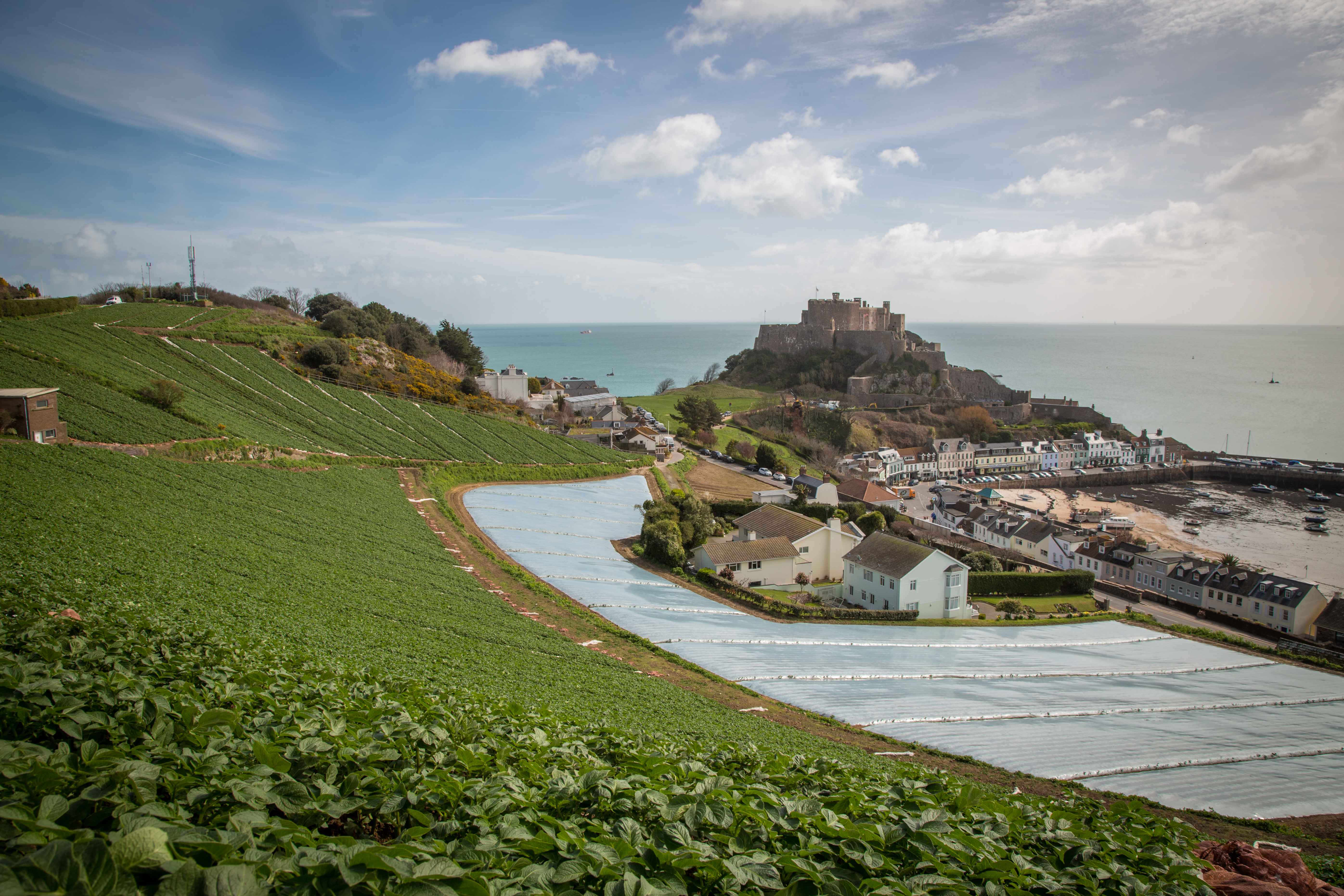 The Jersey Royal Company - Get your Jersey Royals to help celebrate this  fantastic Jubilee bank holiday simply delicious! #farmjersey  #jerseyroyals