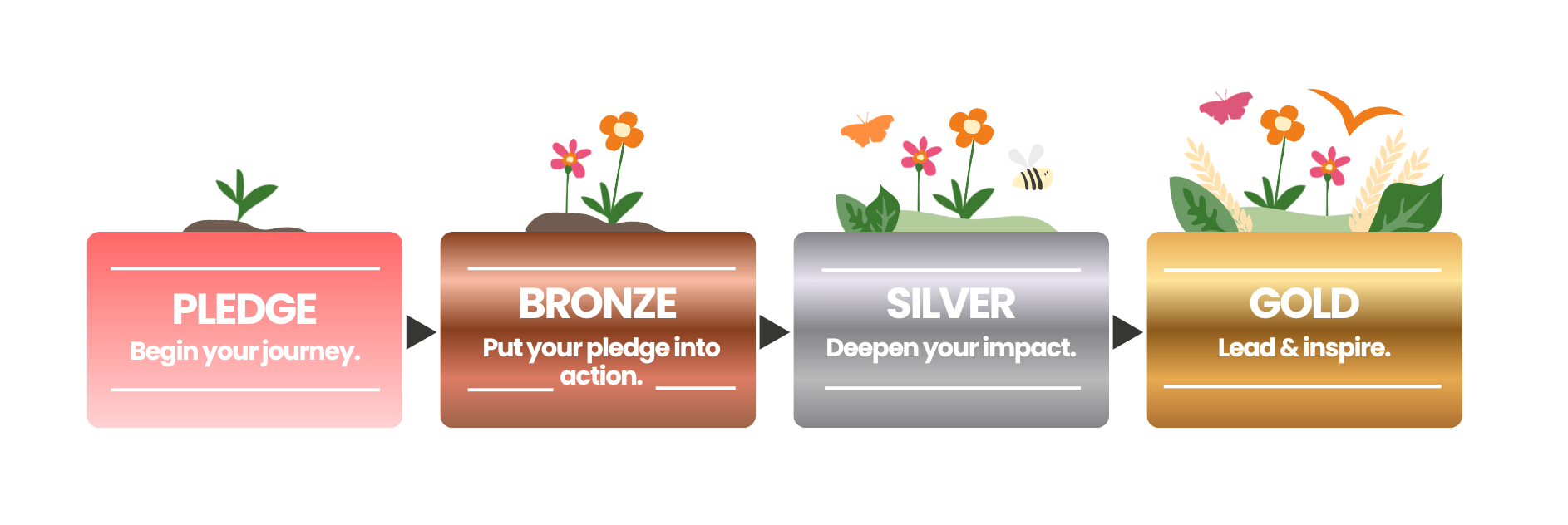 https://s3-eu-west-1.amazonaws.com/leaf-website/full-card-images/Demo-Schools-Levels-Infographic-1.png