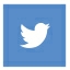 Twitter share button