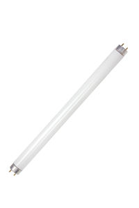 fluorescent tube