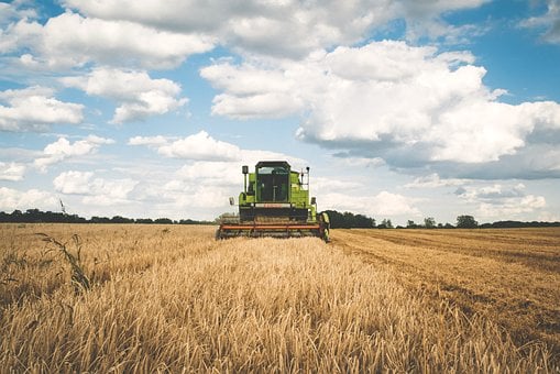 Créer une entreprise agricole : EURL ou EARL