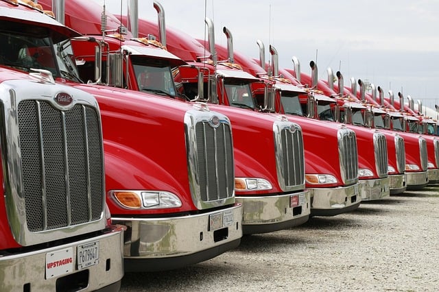 Examen Capacité De Transport De Marchandise Moins De 3t5