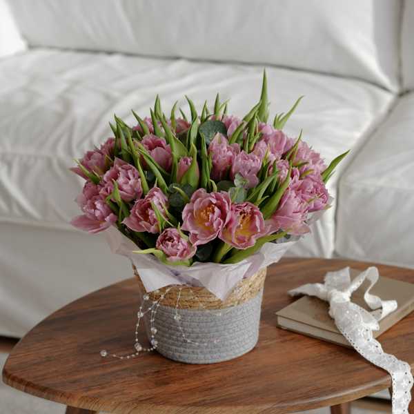  Пионовидные тюльпаны Дабл Прайс (Double Price) в кашпо