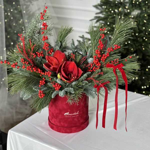 Рождественская композиция в бархатном цилиндре с амариллисом и илексом