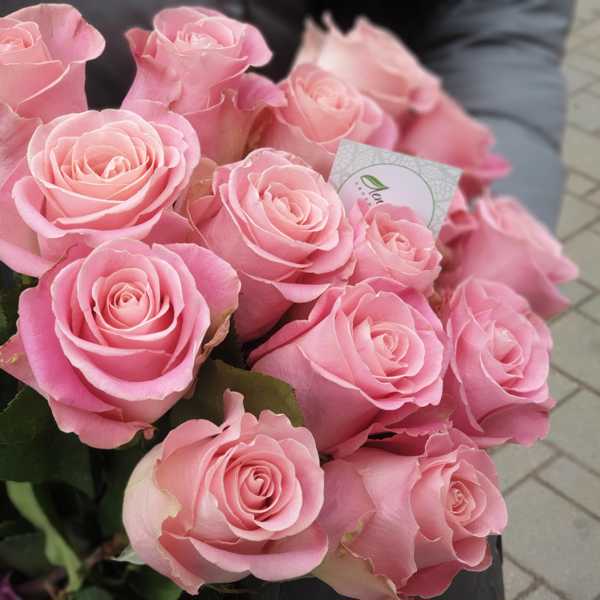 Роза Хермоса (Hermosa) 60 см