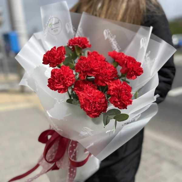 Монобукет из 11 красных гвоздик и эвкалипта