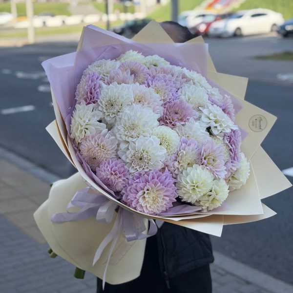 Эффектный букет из розовых Сноха Соня и белых Бум Бум Вайт георгин