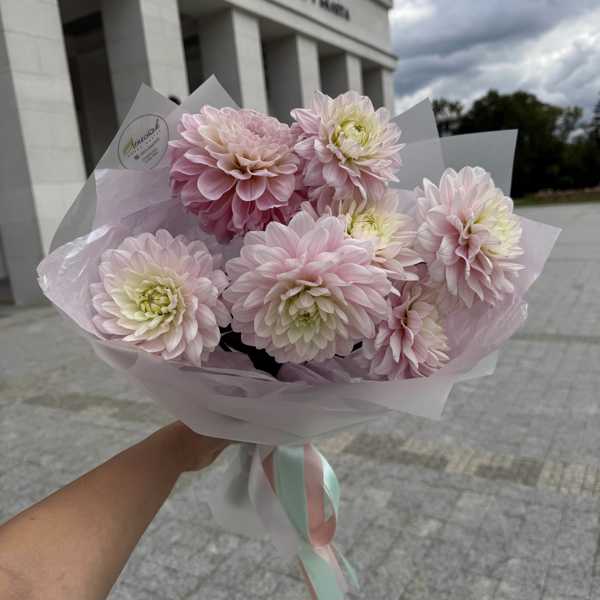 Букет комплимент из георгин Натали Букет комплимент из георгин Натали