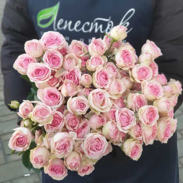 Охапка из 15 кустовых роз Динара Охапка из 15 кустовых роз Динара