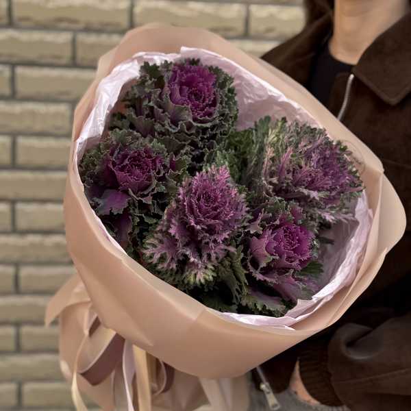 Букет из фиолетовой брассики Букет из фиолетовой брассики