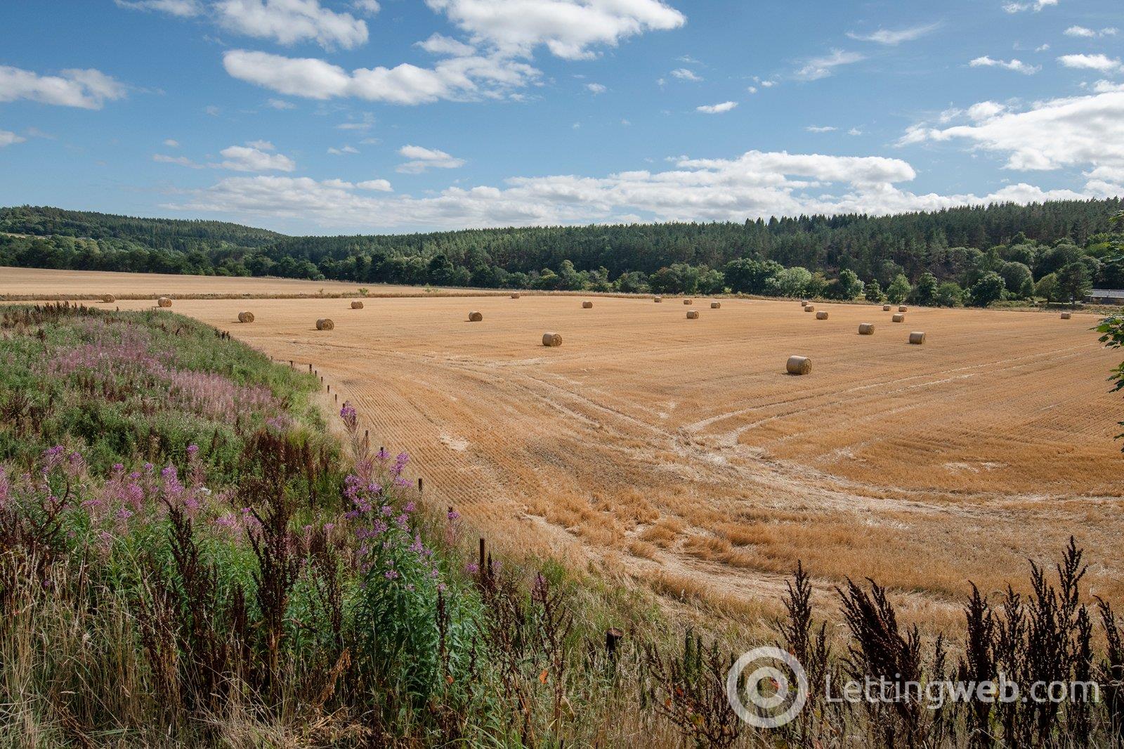 Property to rent in Durward Crescent, Kincardine O'Neil, Aberdeenshire, AB34