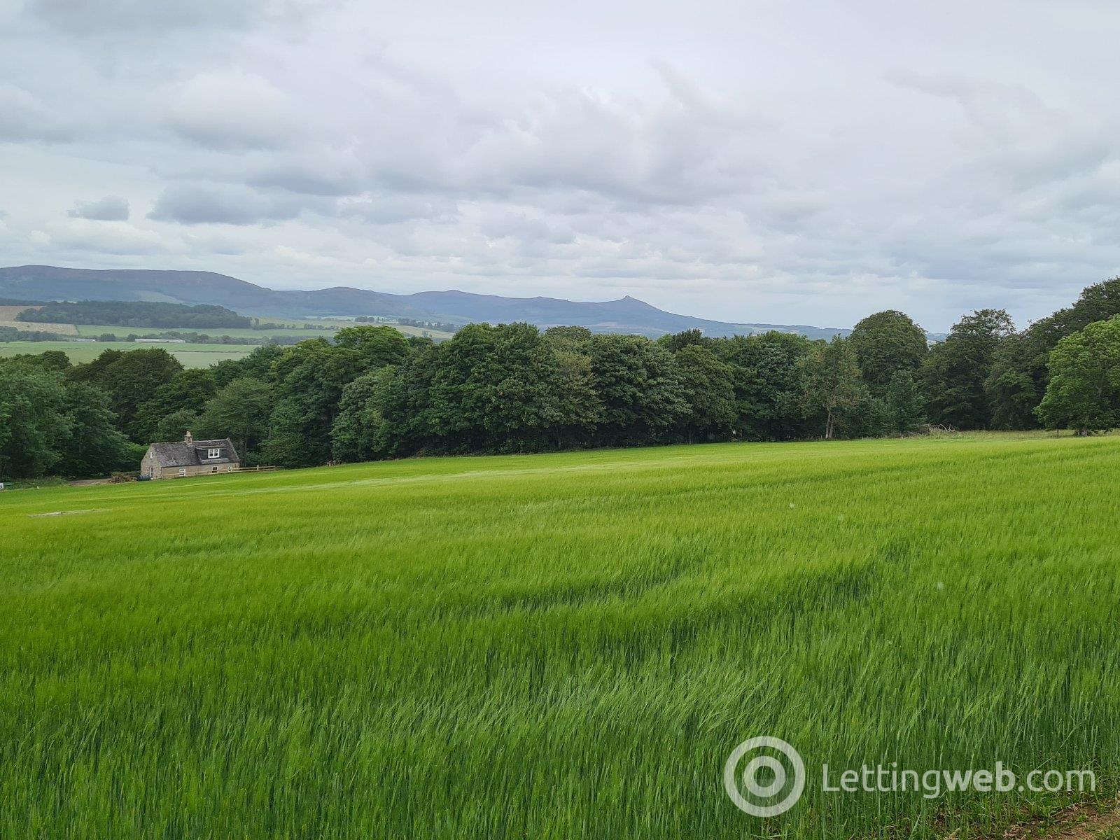 Property to rent in Corsindae, Sauchen, Inverurie, Aberdeenshire, AB51