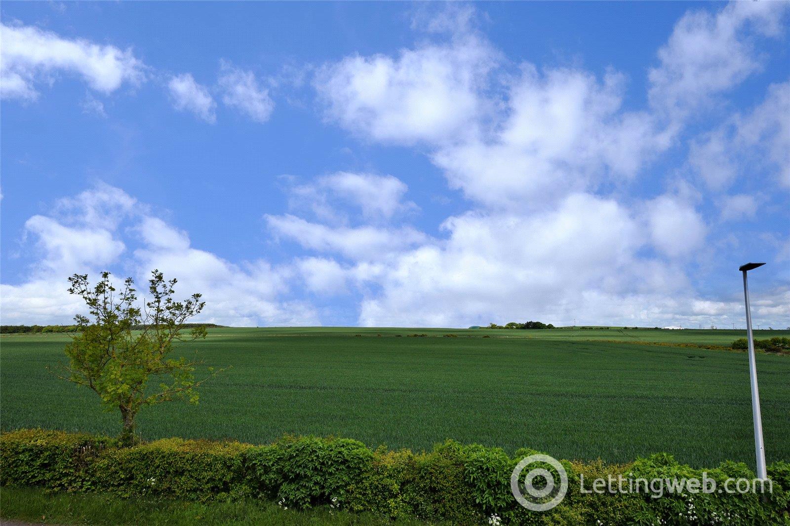 Property to rent in Ardgill Way, Foveran, Ellon, AB41