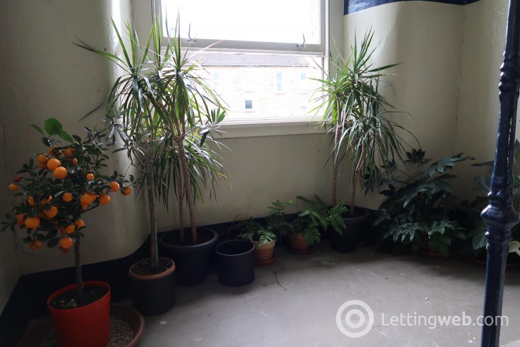 Property to rent in Dover Street, Finnieston, West End