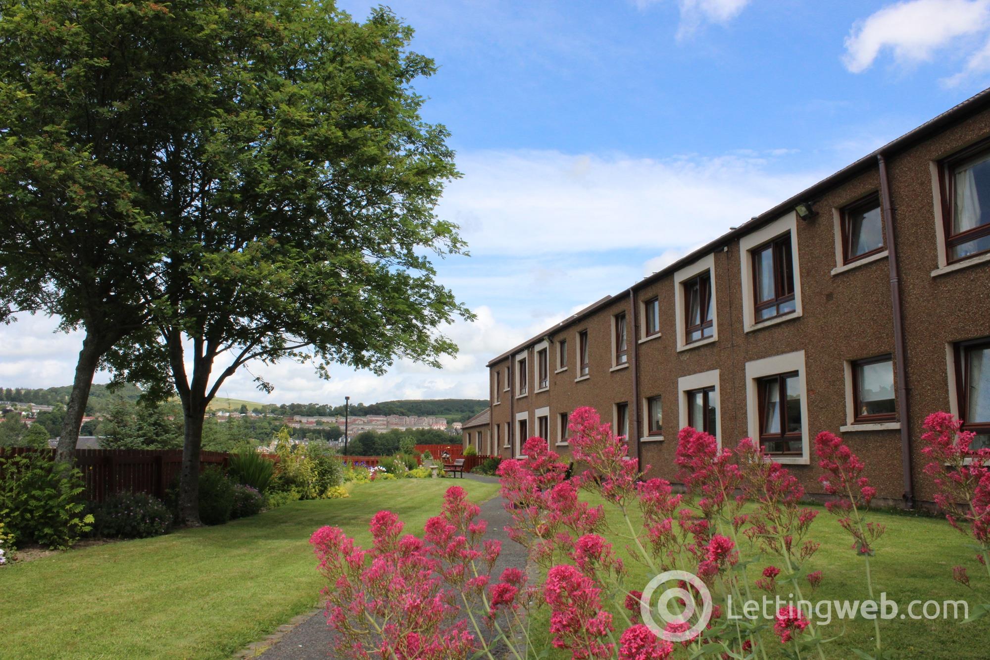 Property to rent in Douglas Haig Court, Hawick