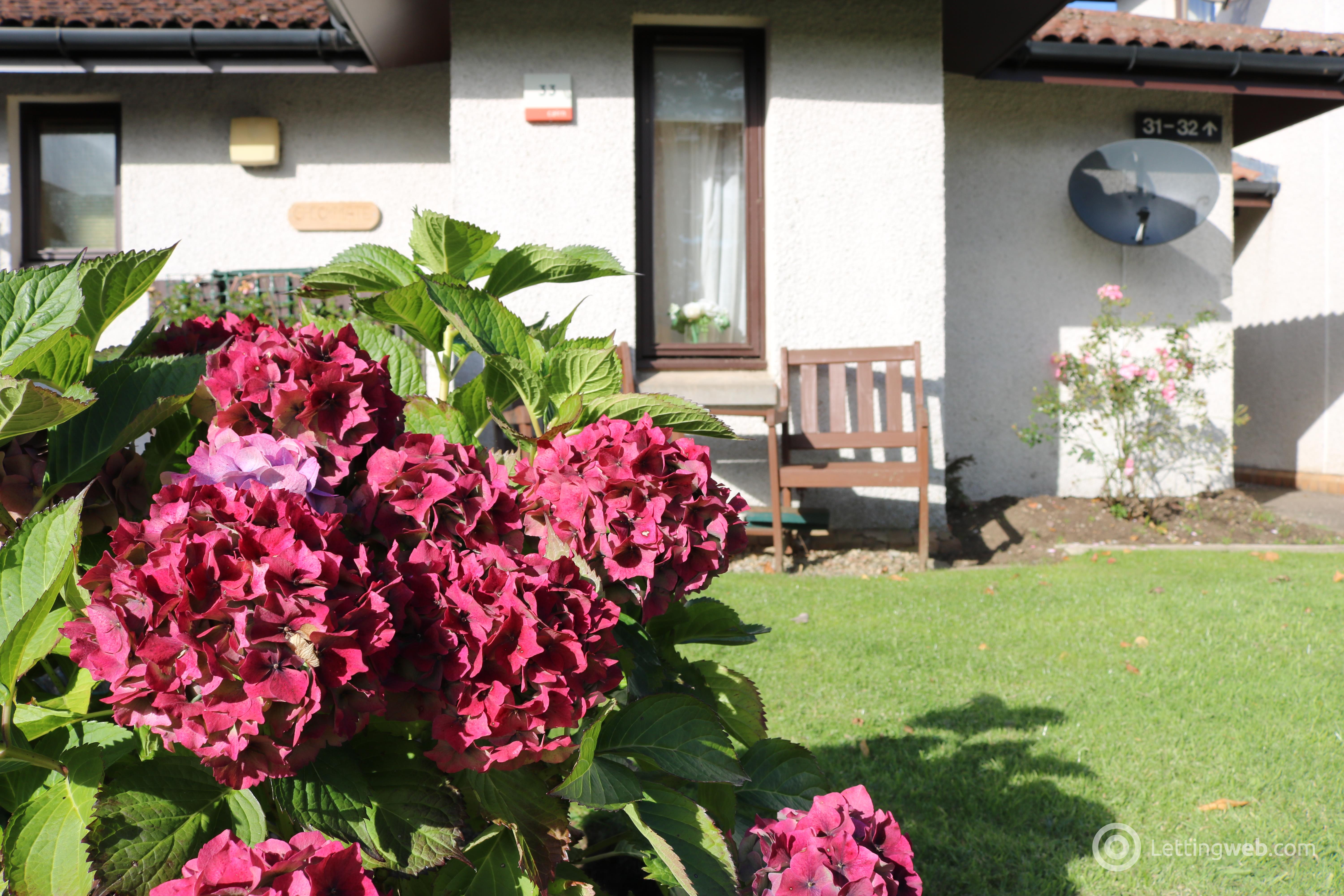 Property to rent in Cluny Court, Blairgowrie