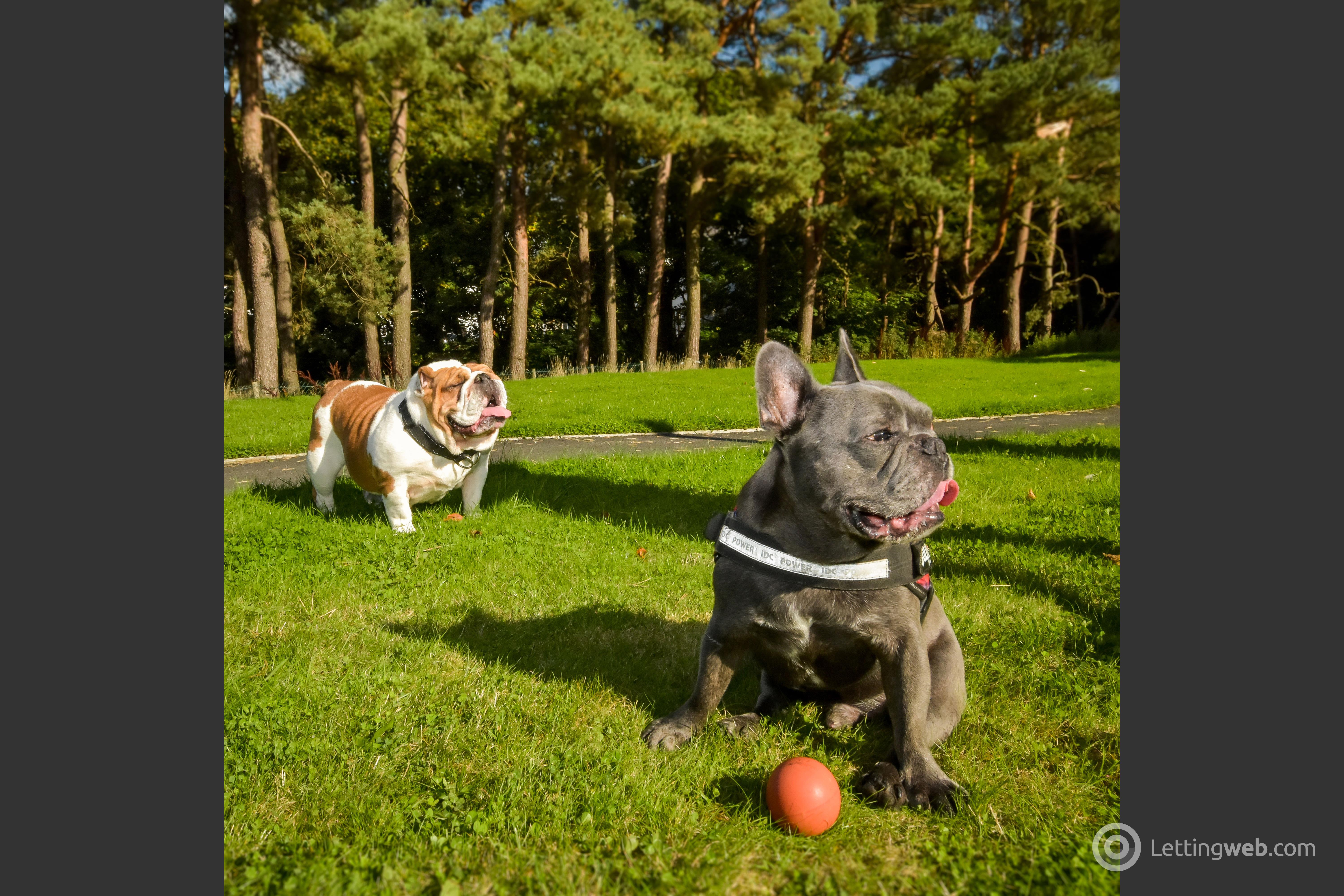 Property to rent in Stoneywood Brae, Aberdeen, AB21 9FA