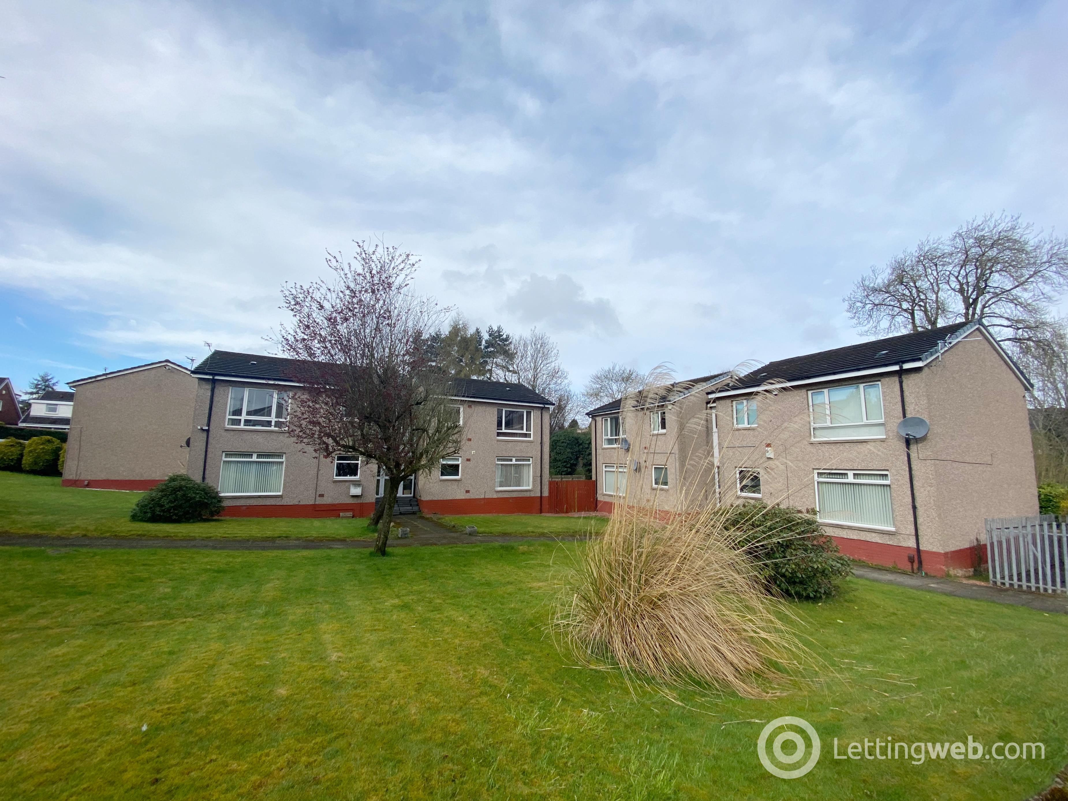 Property to rent in Sycamore Drive, Hamilton, ML3 7HF