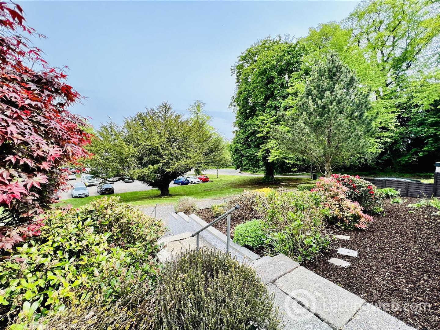 Property to rent in Mote Hill, Hamilton, ML3 6EA