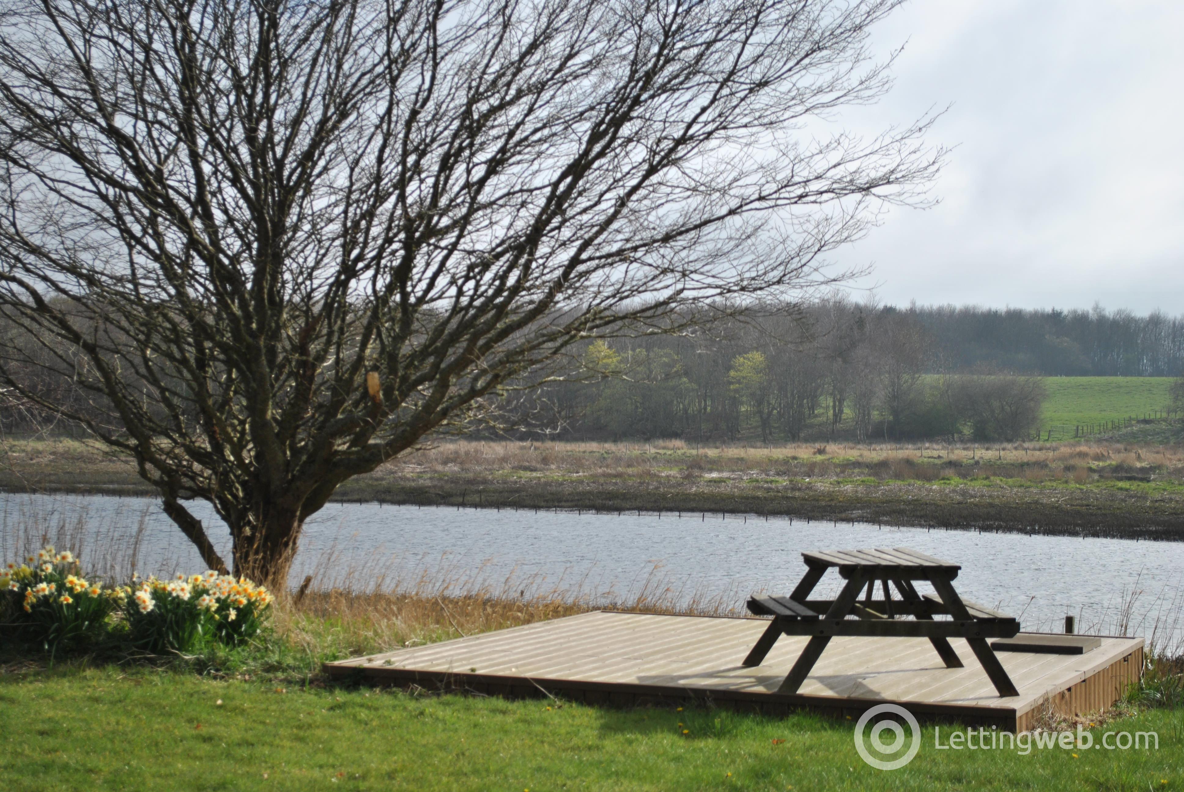 Property to rent in Ferryboat Cottage, Ellon, AB41 8RD