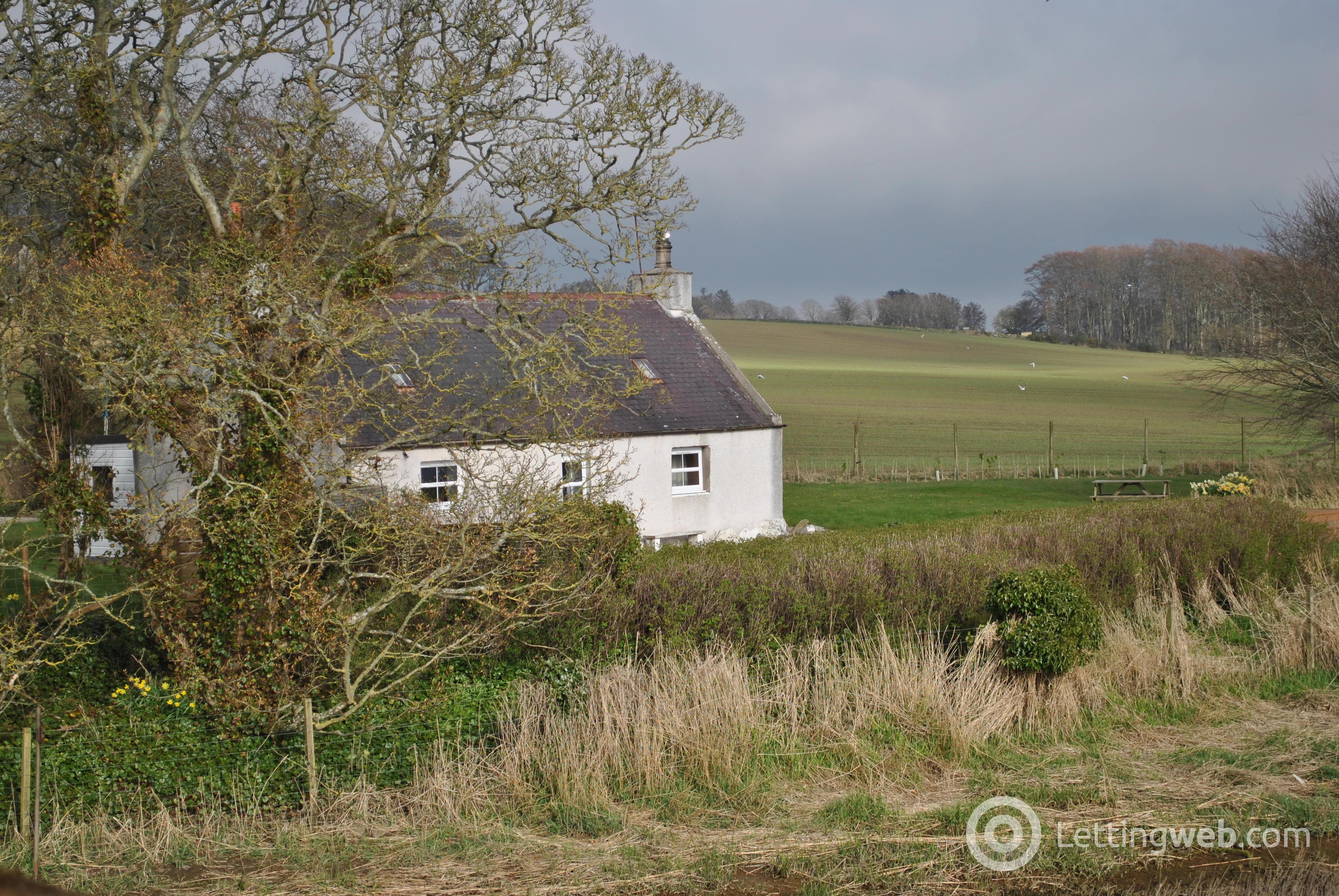 Property to rent in Ferryboat Cottage, Ellon, AB41 8RD