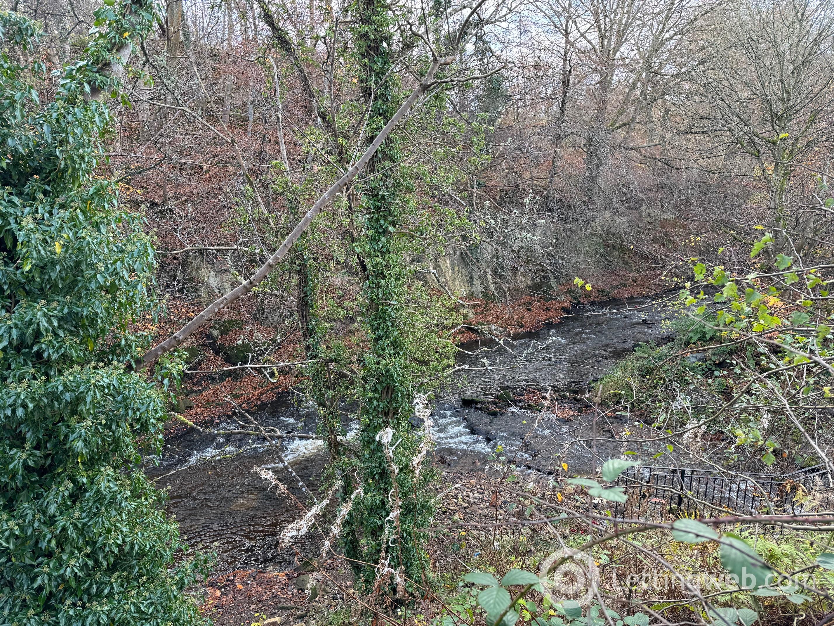 Property to rent in 41 OLD DALMORE DRIVE, AUCHENDINNY