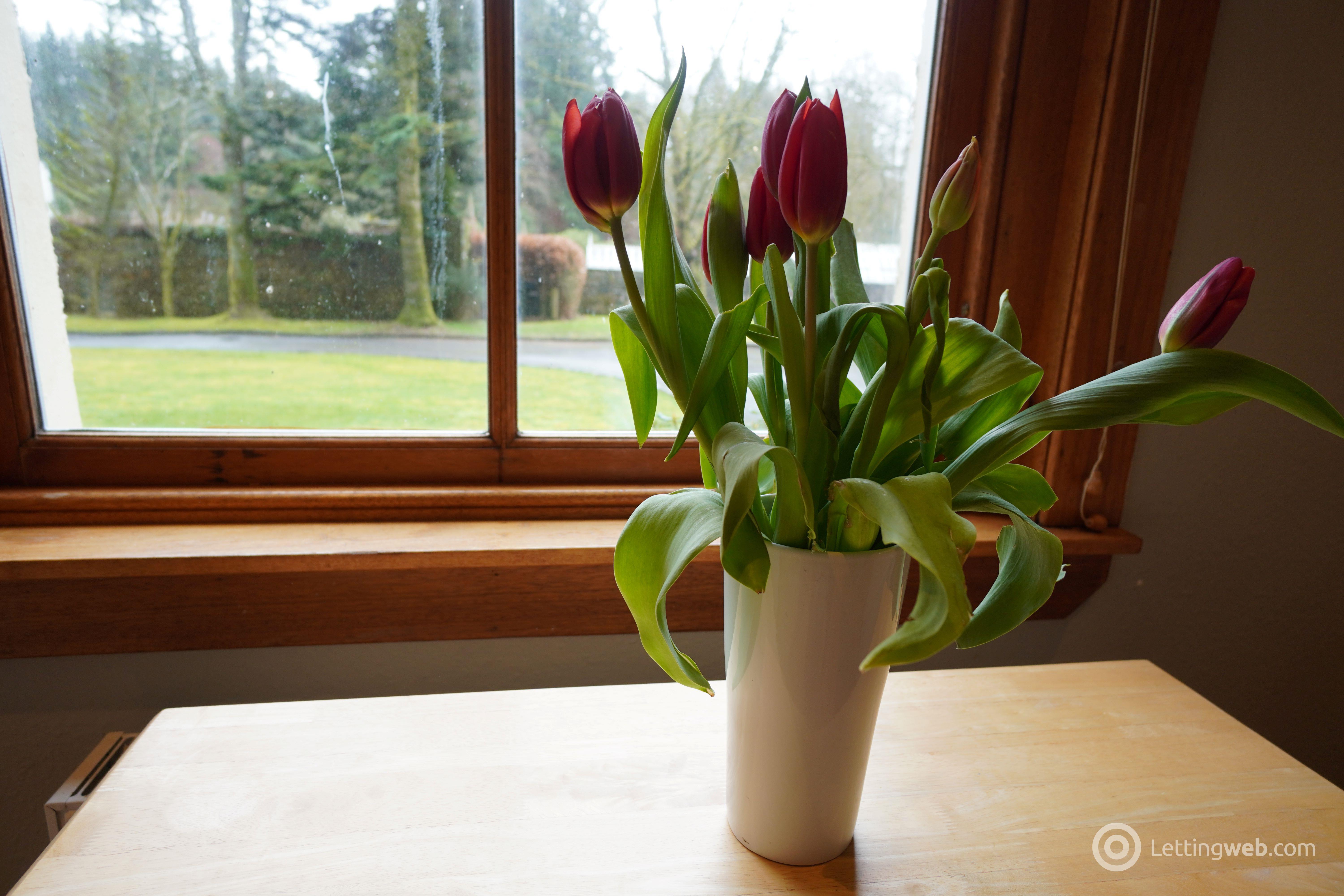 Property to rent in Station House, Strathblane