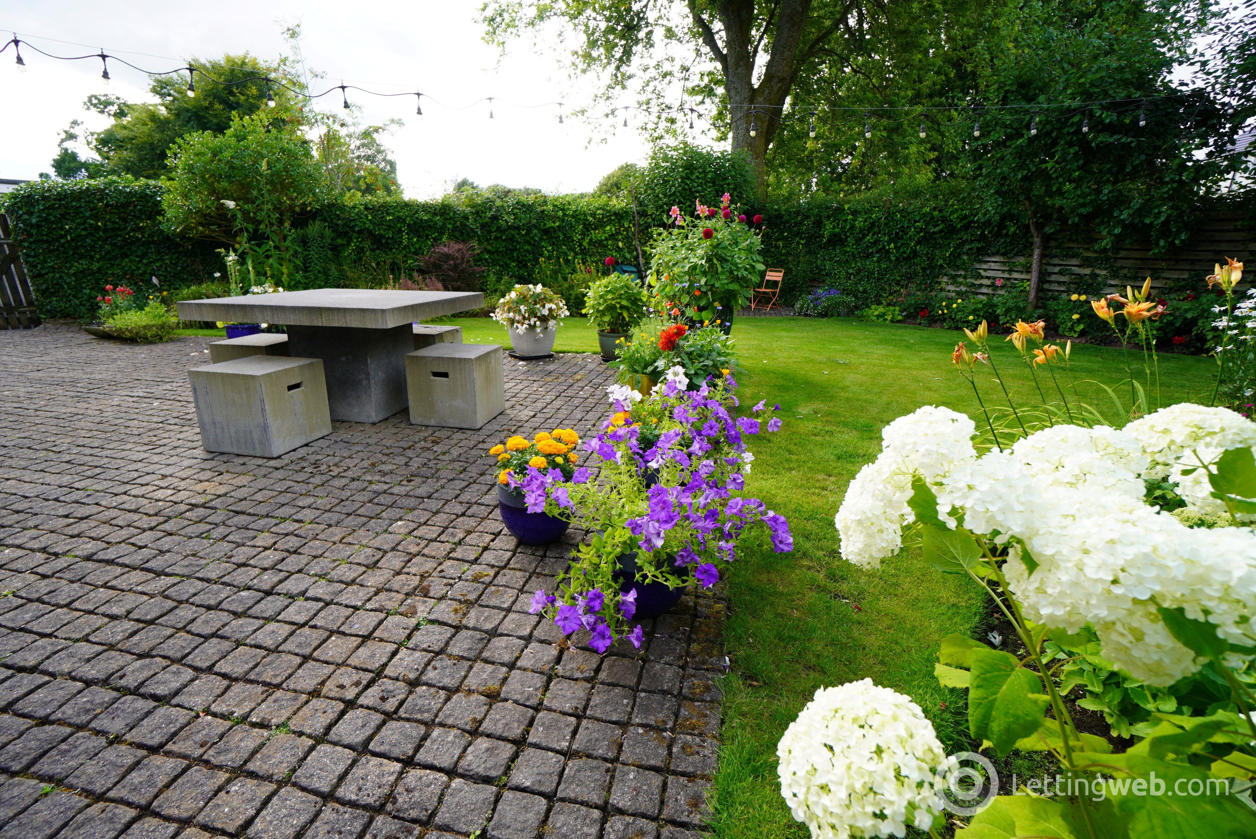 Property to rent in 5 Alder Crescent, Killearn, Glasgow, G63 9SH