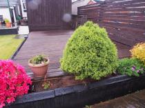 Property to rent in 180 Hamilton Road Mount Vernon