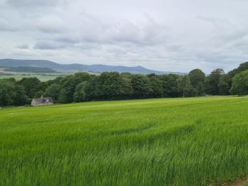 Property to rent in Corsindae, Sauchen, Inverurie, Aberdeenshire, AB51