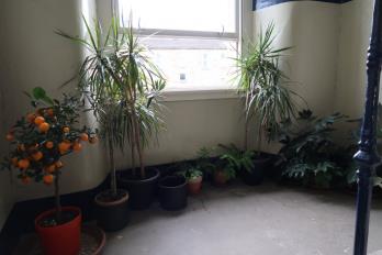 Property to rent in Dover Street, Finnieston, West End