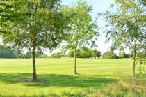 Property to rent in Oak Loan, Baldovie, Broughty Ferry, Dundee