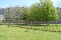 Property to rent in Caird Avenue, Dundee
