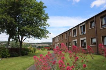 Property to rent in Douglas Haig Court, Hawick