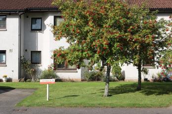 Property to rent in Cluny Court, Blairgowrie