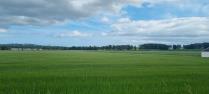 Property to rent in 2 Benvie Farm Cottages, Invergowrie, Dundee, DD2 5LB