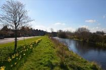 Property to rent in 19 Allanvale Road, Bridge of Allan, Stirling, FK9 4NU