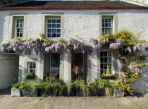 Property to rent in 1 Great Michael Close, Edinburgh, EH6 4LY