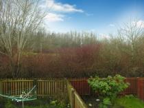 Property to rent in Barclay Road Motherwell